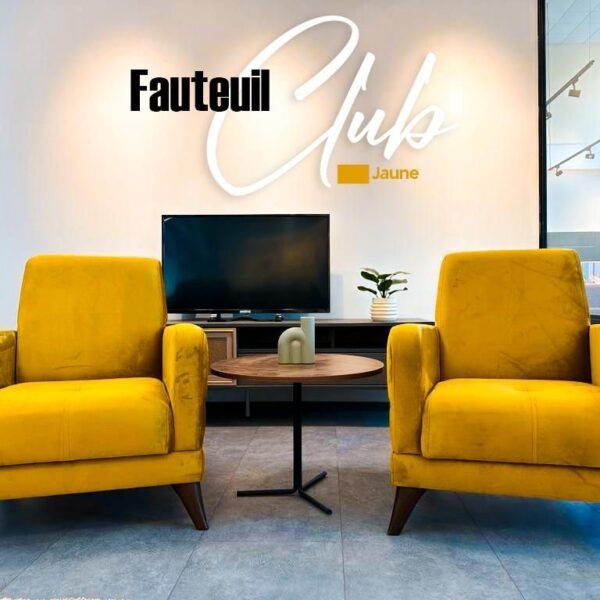 Fauteuil club deux places
