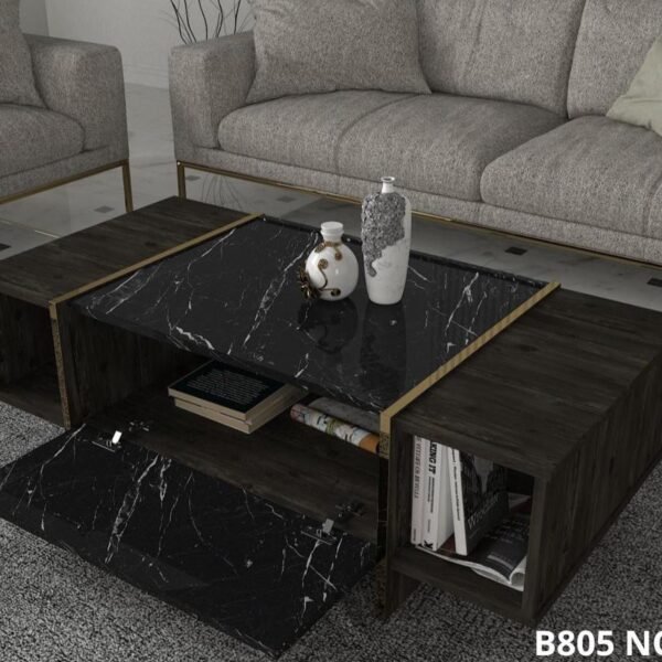Table Basse avec rangement en noire