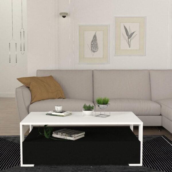 Table Basse avec rangement en noire et blanc
