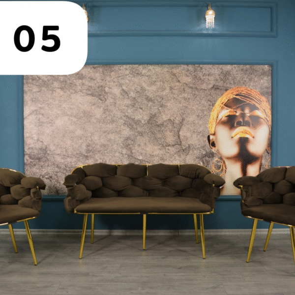 Mini Salon 5 places Marron en Daim B05