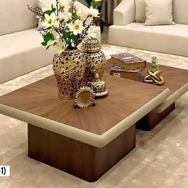 Table Basse Marron Beige 2Pieces